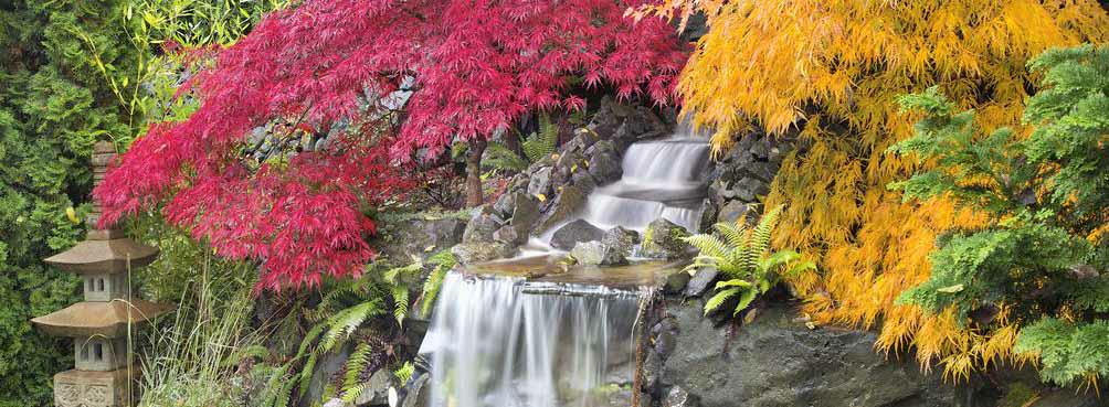 Tacoma sprinkler systems water features