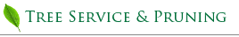 Tree Service and Pruning