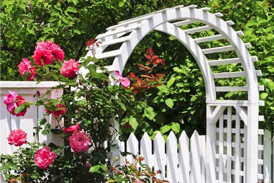 Buckley enumclaw puyallup tacoma federal way bonney lake grahm lake taps sprinkler system landscaping lawn garden pergola